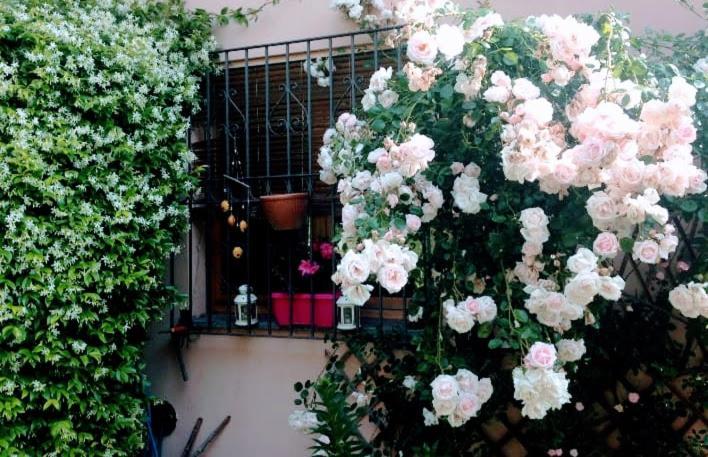 Appartamento La Terrazza Di Dora Menaggio Exterior foto